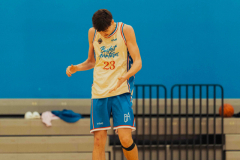 basketaventuress2-01107