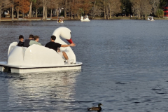 OrlandoWinter26S1Jour4-35-Copier