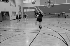 OrlandoWinter26S1Jour4-81-Copier