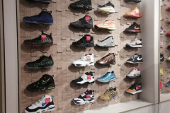 OrlandoWinter26S2Jour3-39