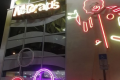 OrlandoWinter26S2Jour3-43