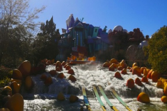 OrlandoWinter26S2Jour4-20