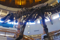 OrlandoWinter26S2Jour4-26