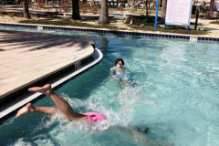 OrlandoWinter26S2Jour5-14