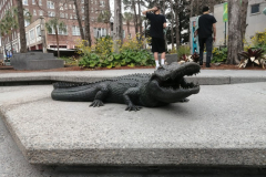 OrlandoWinter26S2Jour7-127