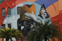 OrlandoWinter26S2Jour7-130