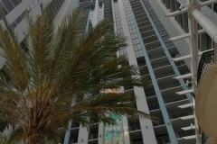 OrlandoWinter26S2Jour7-134