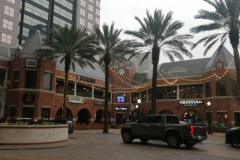 OrlandoWinter26S2Jour7-135