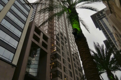 OrlandoWinter26S2Jour7-18-1