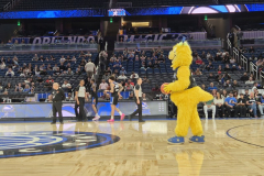 OrlandoWinter26S2Jour7-58