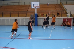 BA-2010-PRADES-BC-66-20-Copier