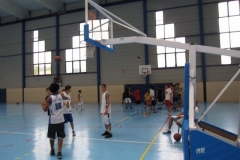 BA-2010-PRADES-BC-66-208-Copier