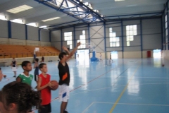 BA-2010-PRADES-BC-66-212-Copier