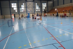 BA-2010-PRADES-BC-66-230-Copier