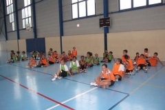 BA-2010-PRADES-BC-66-232-Copier