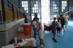 BA-2010-PRADES-BC-66-94-Copier