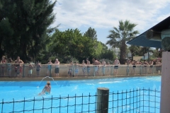 Prades-BC-66-2012-session-2-330-Copier