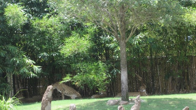 BA-2012-orlando-006-2-Copier