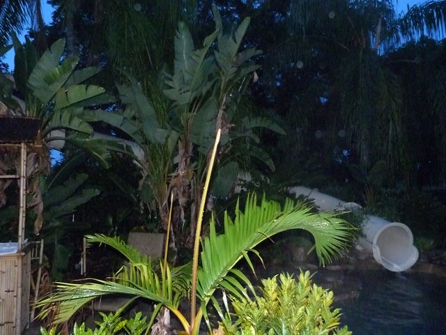 BA-2012-orlando-007-Copier