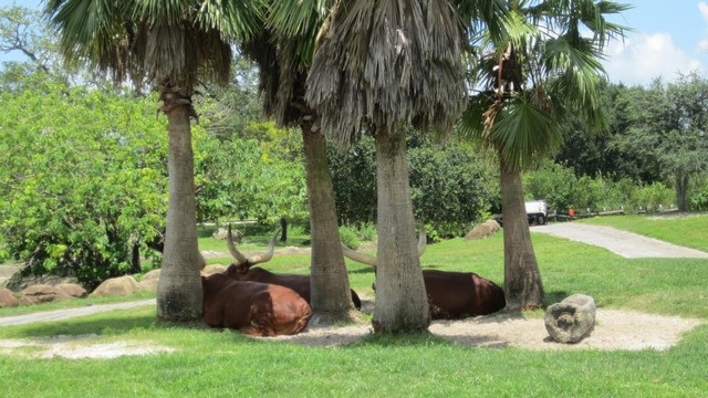BA-2012-orlando-031-2-Copier