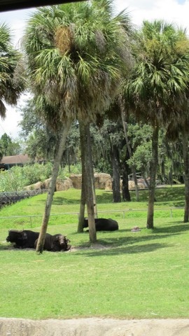 BA-2012-orlando-033-2-Copier