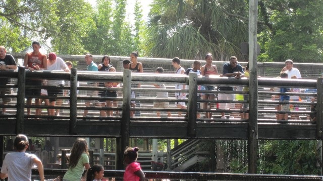 BA-2012-orlando-041-Copier