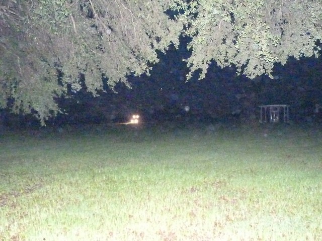 BA-2012-orlando-042-Copier