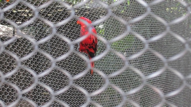 BA-2012-orlando-056-2-Copier