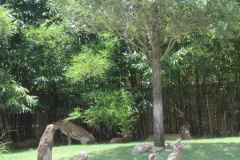 BA-2012-orlando-006-2-Copier