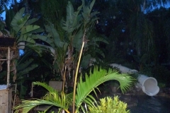 BA-2012-orlando-007-Copier