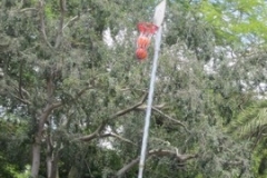 BA-2012-orlando-021-2-Copier