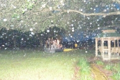 BA-2012-orlando-022-Copier