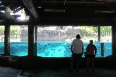 BA-2012-orlando-024-2-Copier