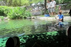 BA-2012-orlando-025-2-Copier