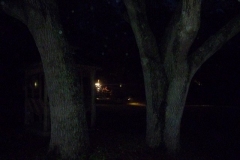 BA-2012-orlando-030-Copier