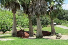 BA-2012-orlando-031-2-Copier
