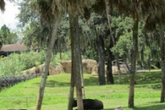 BA-2012-orlando-033-2-Copier