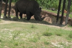 BA-2012-orlando-037-Copier