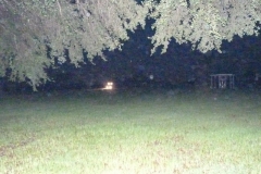 BA-2012-orlando-042-Copier