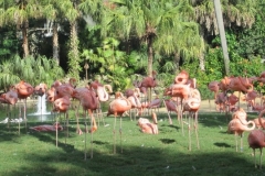 BA-2012-orlando-057-2-Copier