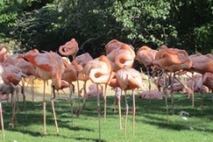BA-2012-orlando-058-2-Copier