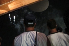 BA-2012-orlando-073-2-Copier