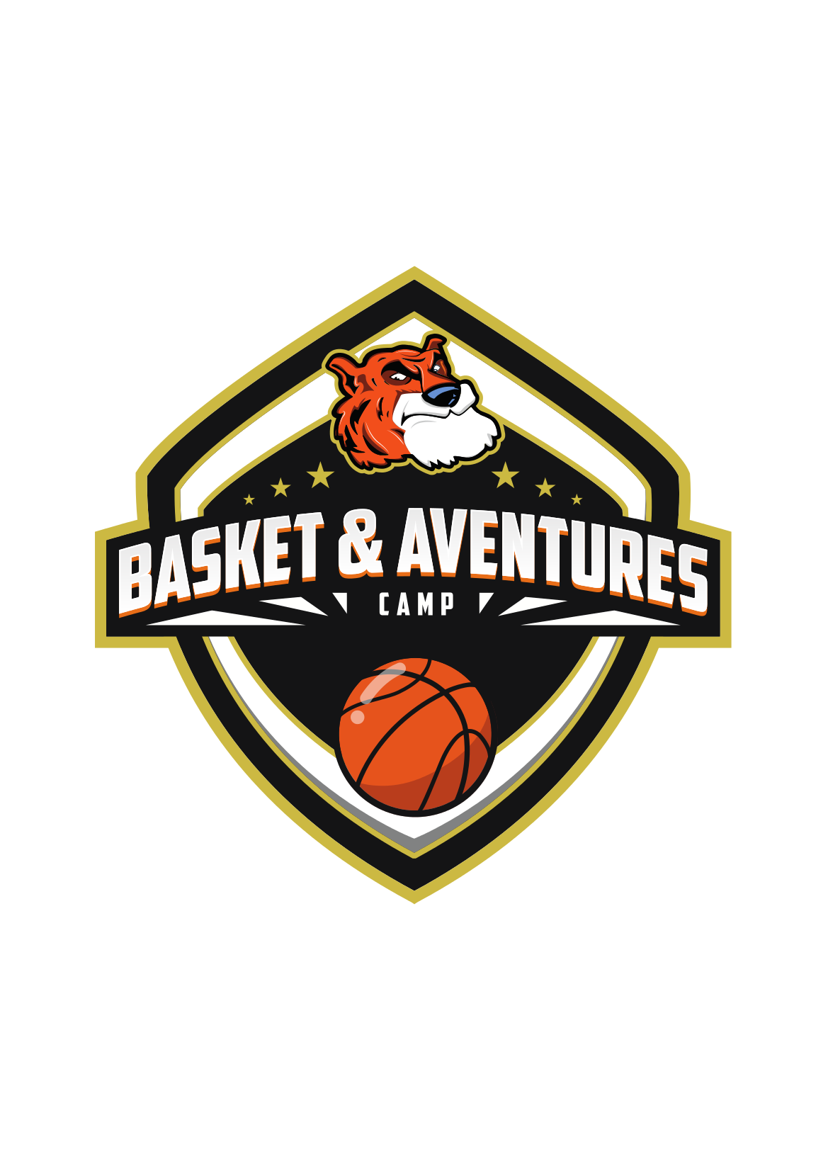 Logo du stage de basket