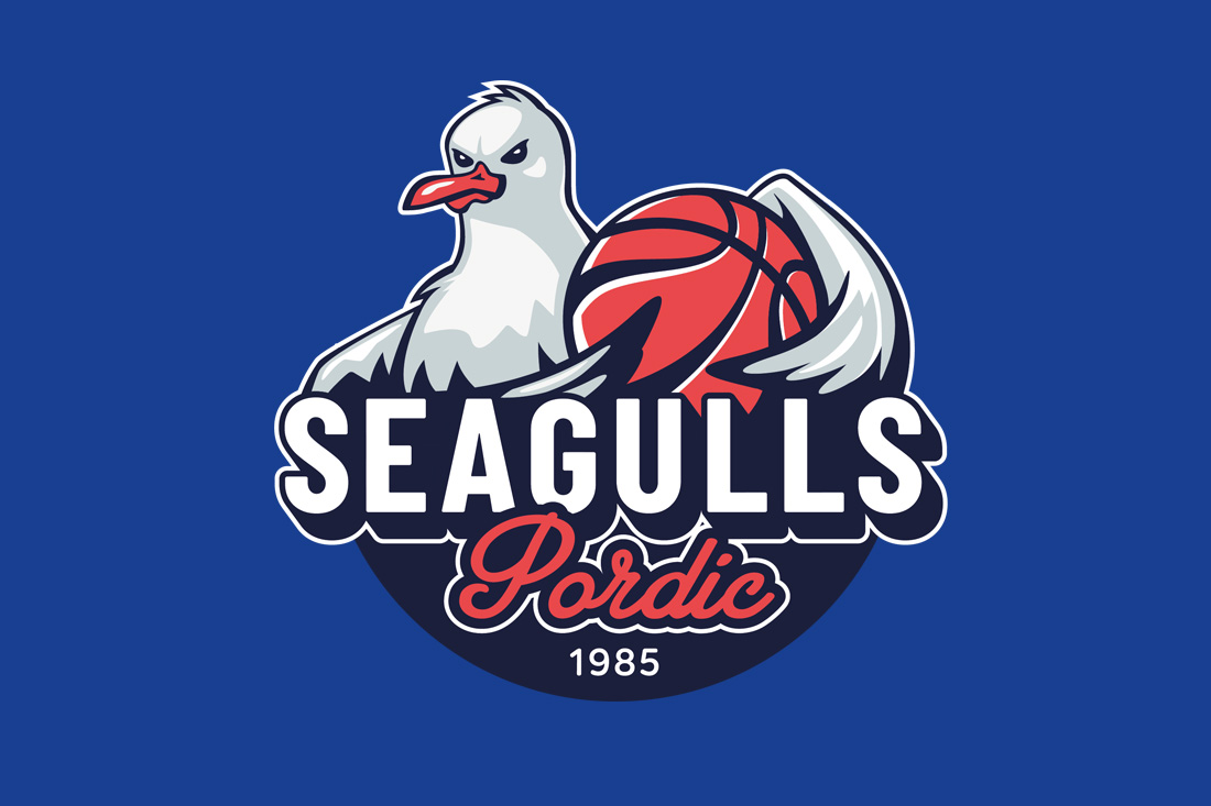 PORDIC_seagulls